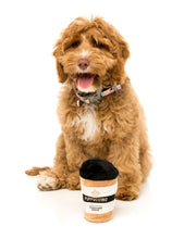 Load image into Gallery viewer, Puppuccino Dog Toy