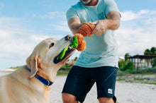 Load image into Gallery viewer, Tropical Paradise Puppy Palm