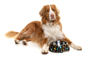 Bel Air Easy Feeder Pet Bowl