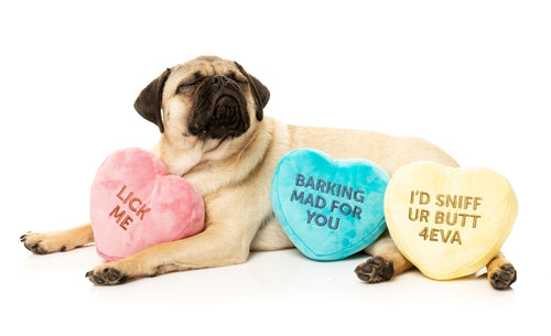 Candy Hearts 3 Pack Dog Toy