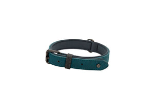 Brights Aquatech Collar- Teal