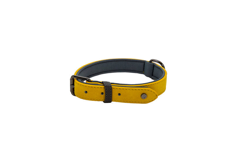 Brights Aquatech Collar- Yellow