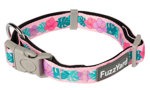 Lahania Dog Collar