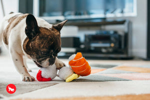 Sushi Plush Dog Toy