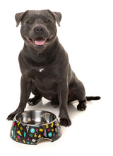 Load image into Gallery viewer, Bel Air Easy Feeder Pet Bowl