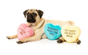 Candy Hearts 3 Pack Dog Toy