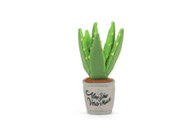 Load image into Gallery viewer, Blooming Buddies Aloe-ve You Plant