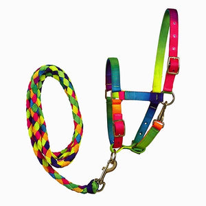 Rainbow Burst Headcollar & Leadrope Set