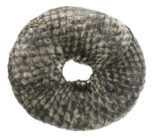 Load image into Gallery viewer, Fish Chew Ring