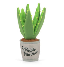 Load image into Gallery viewer, Blooming Buddies Aloe-ve You Plant