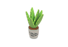 Load image into Gallery viewer, Blooming Buddies Aloe-ve You Plant