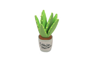 Blooming Buddies Aloe-ve You Plant