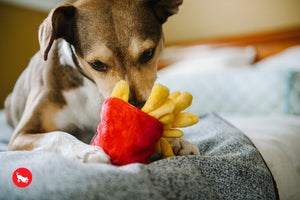 French Fries Plush Dog Toy