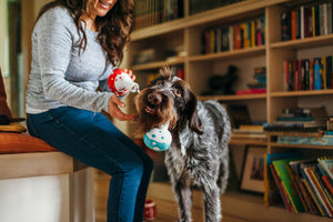 Barking Beakers Plush Dog Toy