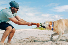 Load image into Gallery viewer, Tropical Paradise Puppy Palm