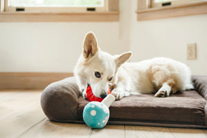 Barking Beakers Plush Dog Toy