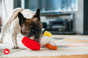 Sushi Plush Dog Toy