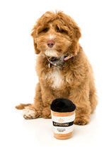 Load image into Gallery viewer, Puppuccino Dog Toy