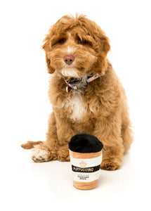 Puppuccino Dog Toy