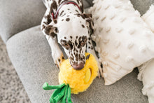 Load image into Gallery viewer, Tropical Paradise Paws Up Pineapple